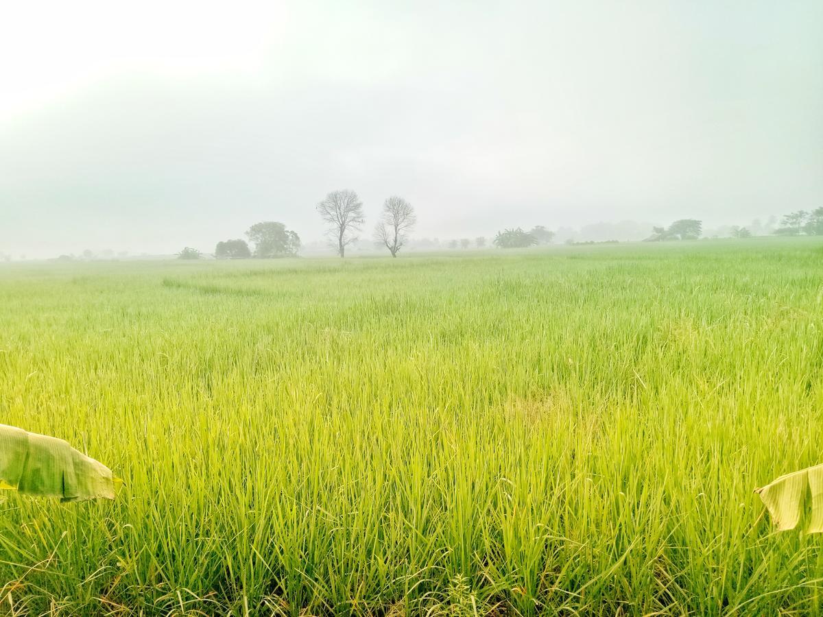 Jaisabai Homestay 美艾 外观 照片